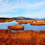 一度は行ってみたい群馬県でおすすめの名門ゴルフ場15選